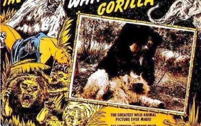 The White Gorilla 1945 trailer